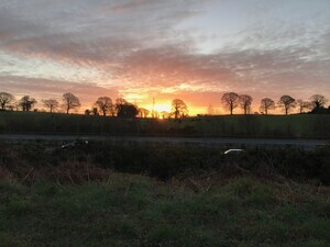 Ballyhenry_Ashford-170315(1)