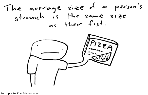 average-stomach-size