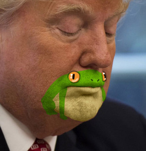frogman2